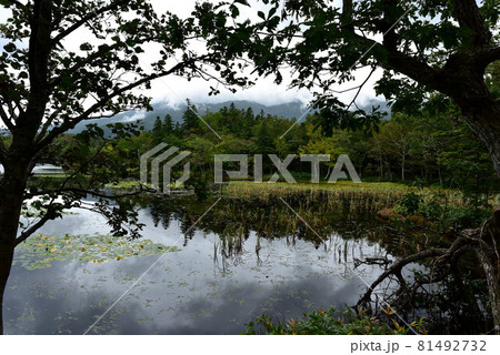 知床五湖 81492732