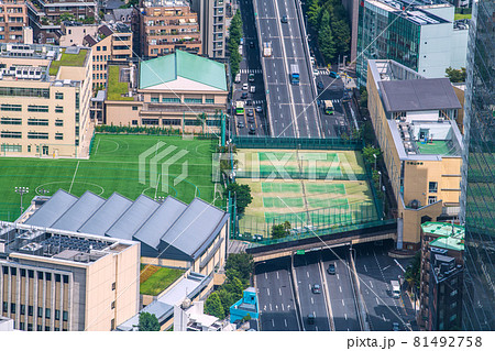日本の東京都市景観　渋谷区渋谷の街並みなどを望む（青山トンネル、青山学院） 81492758