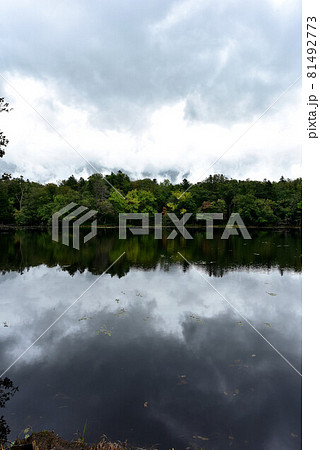 知床五湖 81492773