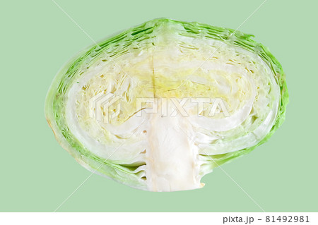 Fresh green cabbage isolated on color background. Organic food. 81492981