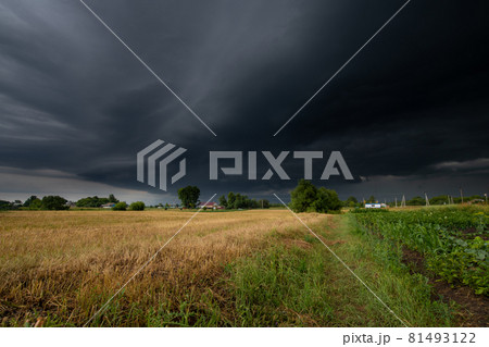 The Summer countryside landscape with a thundercloud The Summer countryside landscape with a thundercloud 81493122