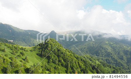 草津白根山　山田峠方向を望む 81494556