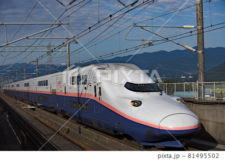 上越新幹線を走行するE4系新幹線 上越新幹線を走行するE4系新幹線 81495502