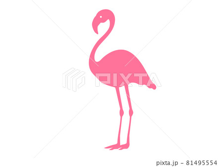 ピンクフラミンゴのベクターイラストのイラスト素材