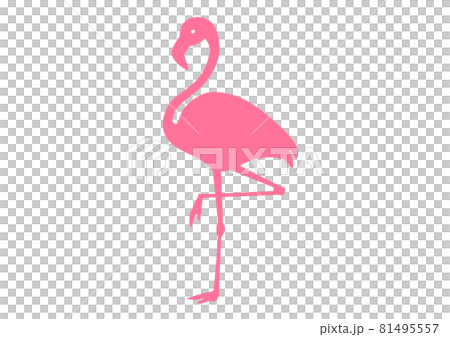 粉紅色火烈鳥的矢量圖解 81495557