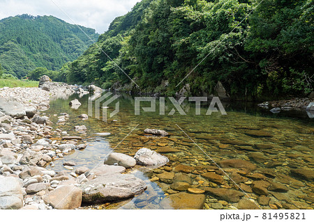 夏の高津川 夏の高津川 81495821