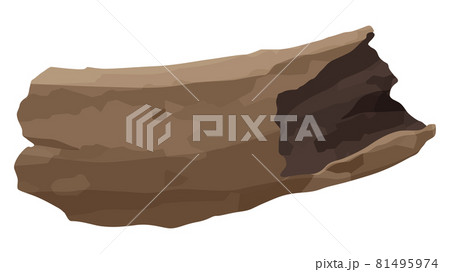 短い流木のイラスト_明るい 81495974