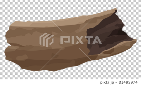 短い流木のイラスト_明るい 81495974