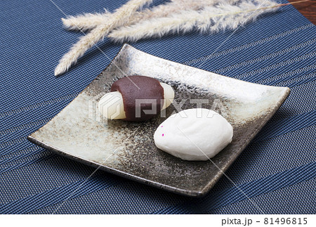 十五夜　月見団子　和菓子　お月見　お供物　イメージ素材 81496815