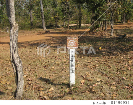 カンボジア、ベンメリアへの途中の風景。（地雷注意） 81496952