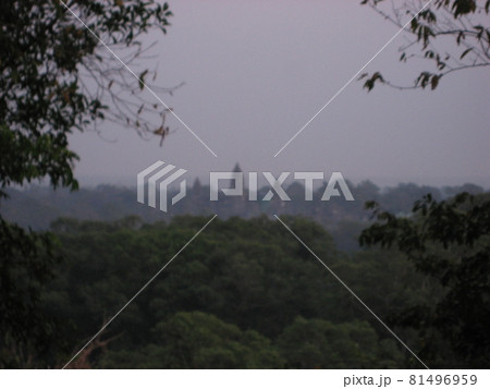 カンボジア、プノンバケンからアンコールワットを見る。 81496959