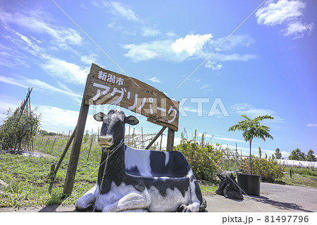 新潟市アグリパーク 農業イメージ 新潟市アグリパーク 農業イメージ 81497796