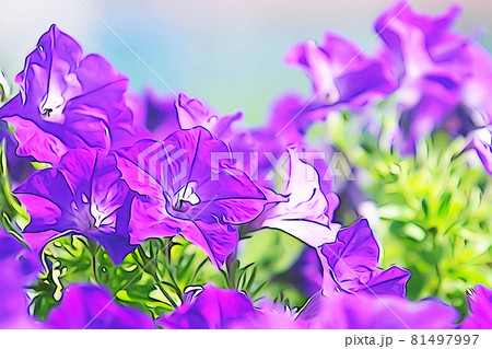 パステル調　”ペチニアの花”　イラストイメージ 81497997