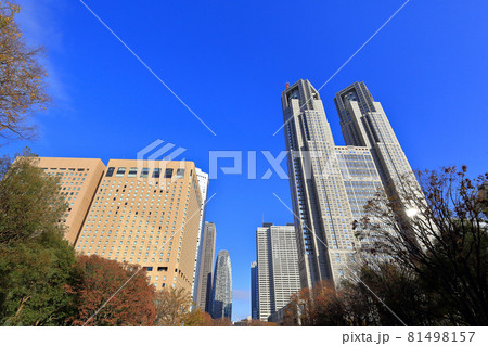 東京 西新宿の都市風景 超高層ビル群と紅葉 東京 西新宿の都市風景 超高層ビル群と紅葉 81498157