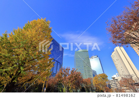 東京　西新宿の都市風景　超高層ビル群と紅葉 81498162