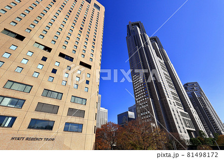 東京 西新宿の都市風景 超高層ビル群と紅葉 東京 西新宿の都市風景 超高層ビル群と紅葉 81498172