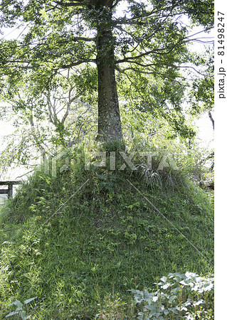 奥州街道 寺子一里塚(那須塩原市) 奥州街道 寺子一里塚(那須塩原市) 81498247