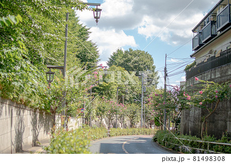 蝉坂/東京都北区上中里 蝉坂/東京都北区上中里 81498308