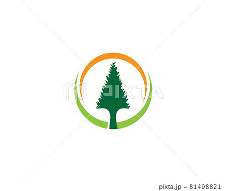 Pine symbol illustration 81498821