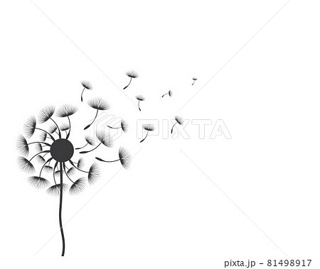 Dandelion vector illustration Dandelion vector illustration 81498917