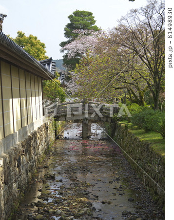 大覚寺脇を流れる有栖川 大覚寺脇を流れる有栖川 81498930