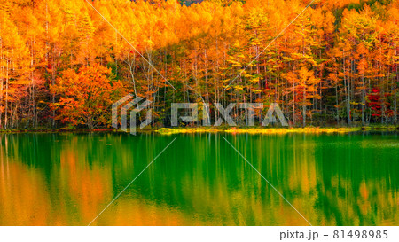 御射鹿池(秋) 御射鹿池(秋) 81498985