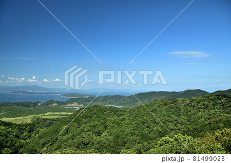 四国山展望から友ヶ島を望む　[地ノ島(右)、沖ノ島(左)、その向こうが淡路島]　【和歌山県和歌山市】 81499023
