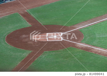 マツダスタジアムのバッティングボックス 81499041