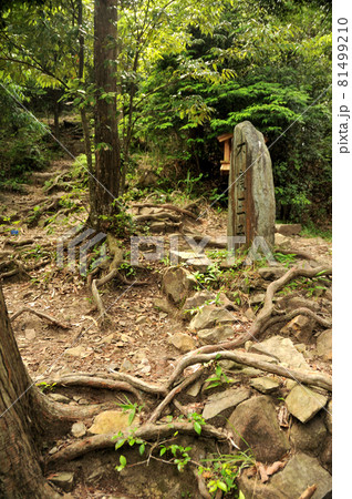 不寝王子跡石碑　【和歌山県田辺市滝尻】 81499210