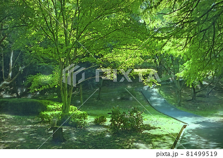 奥須磨公園の森林浴 木陰 横構図 のイラスト素材