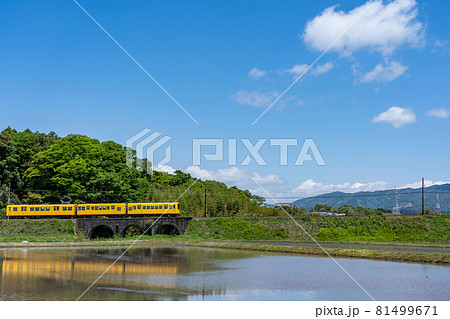 三重県いなべ市のめがね橋を通り過ぎる三岐鉄道北勢線の黄色い軽便鉄道 81499671