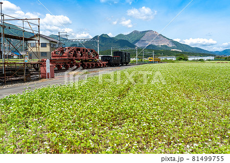 三重県いなべ市大安町の貨物鉄道博物館と春そば畑の道 三重県いなべ市大安町の貨物鉄道博物館と春そば畑の道 81499755