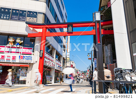 鎌倉 小町通り 鎌倉 小町通り 81499821