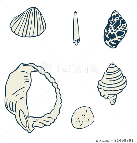 海で拾った貝殻のシンプルなイラストセット 紺のイラスト素材 海で拾った貝殻のシンプルなイラストセット 紺のイラスト素材
