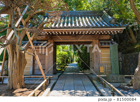 鎌倉 報国寺 山門 鎌倉 報国寺 山門 81500084