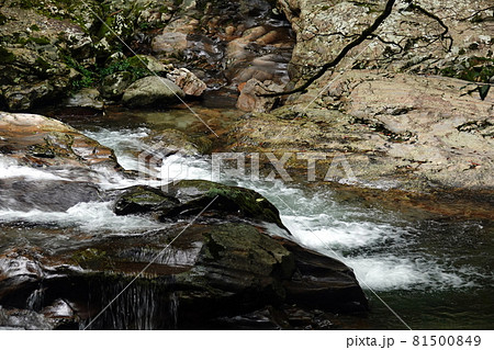 岩と渓谷の滑床渓谷 81500849