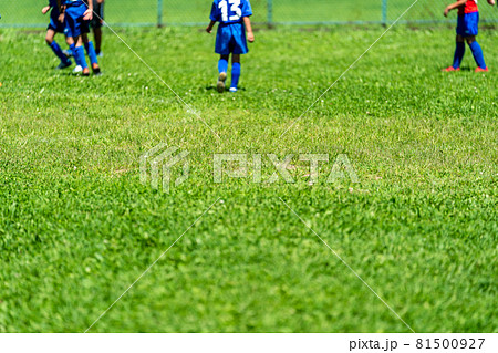 soccer soccer 81500927