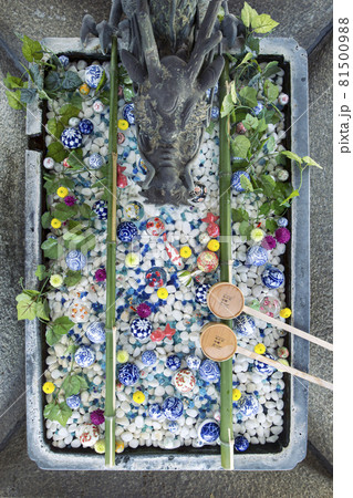 楊谷寺の花玉手水 楊谷寺の花玉手水 81500988