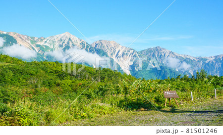 夏の唐松岳登山:黒菱平から白馬三山の眺め 夏の唐松岳登山:黒菱平から白馬三山の眺め 81501246