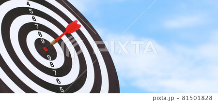 Red darts for setting business success goals. Red darts for setting business success goals. 81501828