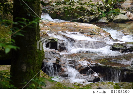 滑床渓谷の自然美 滑床渓谷の自然美 81502100