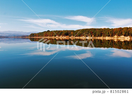 御所湖の紅葉する水鏡 81502861
