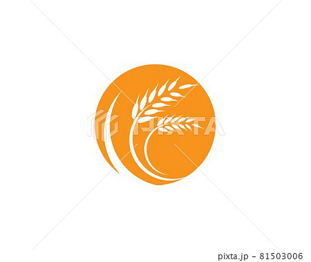 Agriculture wheat logo template 81503006