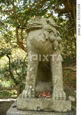 神社 81503108