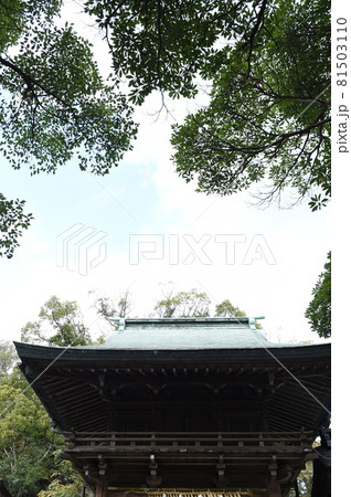 神社 81503110