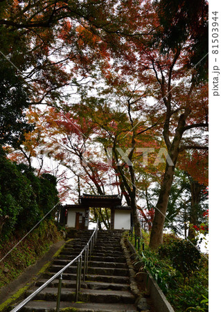 清閑寺の紅葉 清閑寺の紅葉 81503944