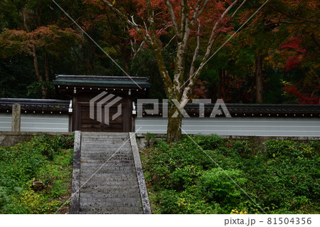 清閑寺の紅葉 清閑寺の紅葉 81504356