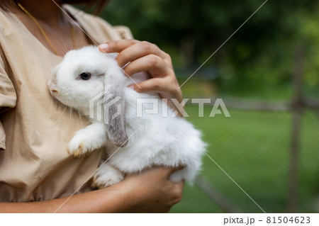 Asian woman holding and carrying cute rabbit with tenderness and love. Friendship with cute easter bunny. Happy rabbit with owner. 81504623