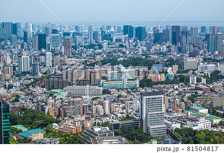 日本の東京都市景観　渋谷区広尾の街並みなどを望む（奥は港区など） 81504817