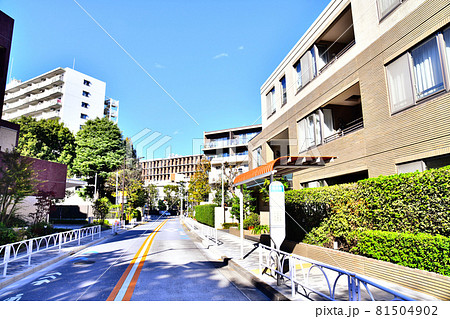 東京農業大学方面を望む(東京都世田谷区)【2020.11】 81504902